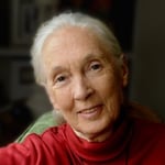 Jane Goodall Headshot